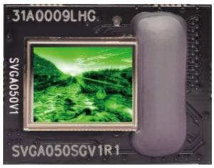 China 800×600 Resolution CMOS Process SMPTE 0.5 OLED Digital Display Module on sale
