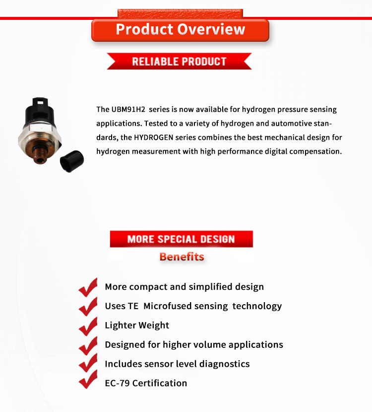 TE Hydrogen Storage and Motive Line Pressure Sensor for Fuel Cell Mobility EC-79 316L