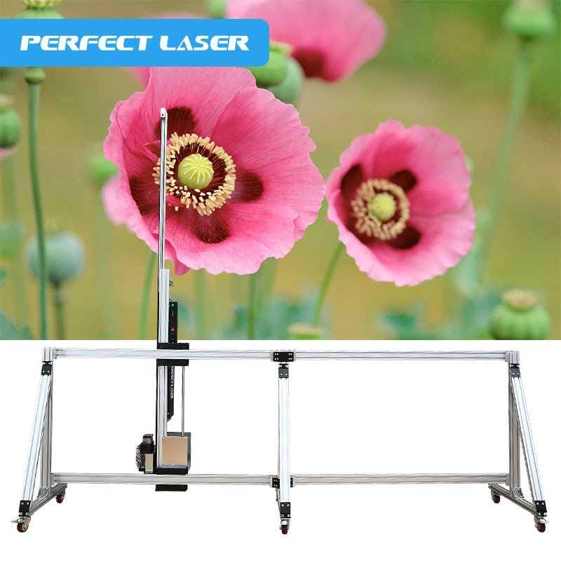 Industrial Double Nozzle 3D Wall Inkjet Printer For Wall Mural