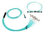OM3 Breakout LC QSFP Fiber Optic Cable Assemblies 24 Core