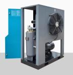 Two-Stage 75KW Scroll Oil-Less Stationary Micro-Air Compressor Customized 380V