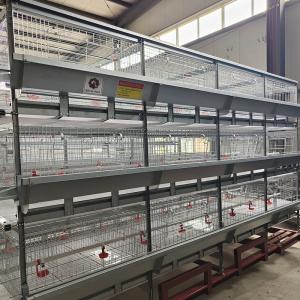 Quality 60-144 Broiler Poultry Equipment , ISO9001 Wire Bird Breeding Cages wholesale