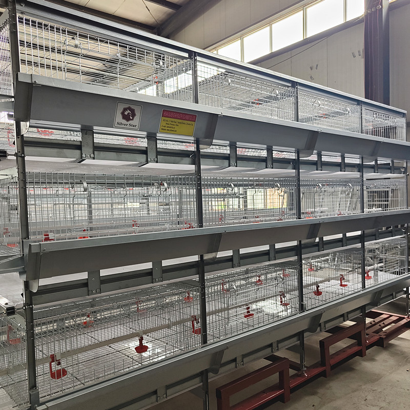 Automatic Broiler Equipment For Chicken House, 380V 50HZ With SONCAP Approval