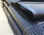 Black White Dimple Plastic Drainage Board For Roof Greening Waterproofing