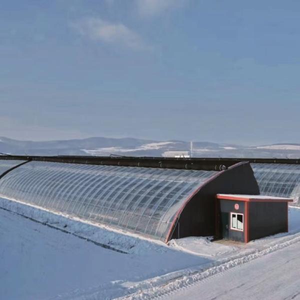 Arched Roof Aquaculture Vegetable Film Sunlight Greenhouse for US Strawberry
