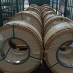 Precision Stainless Steel Strip 316L / 1.4404 / S31603 Bright Annealing SS