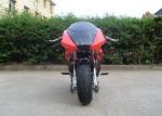 Red Mini Gas Dirt Bikes 110cc , Electric Start Small Dirt Bikes Automatic