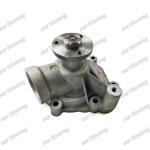 ENGINE Water Pump D4D