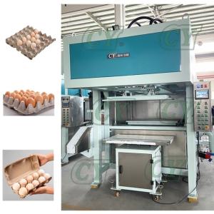 Quality Automatic egg tray machine egg carton machine pulp molded production line wholesale
