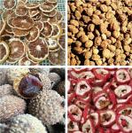 Commercial Hot Air Fruit Blower Mesh Belt Vegetable Drying Machine Meat Seafood
