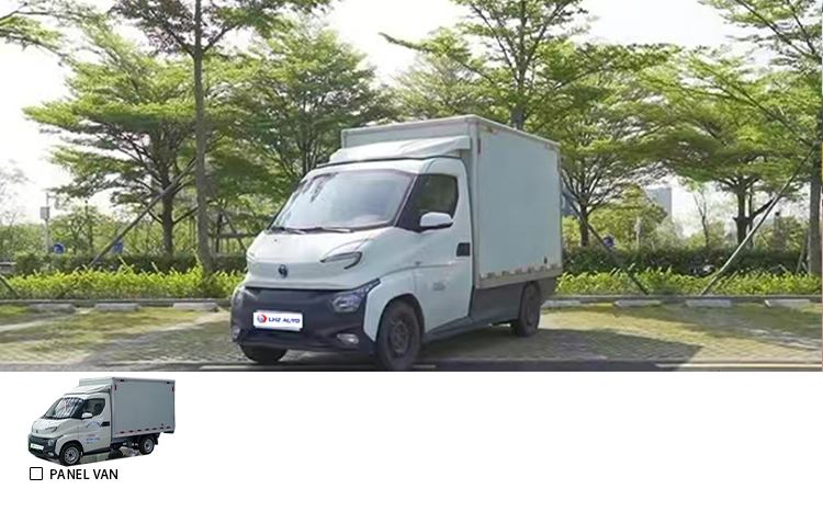 Max Power 243kw Copilot Seat Adjustment Manual Feidi Q2T 2-Seater Electric Small Truck