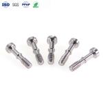 316 Stainless Steel Custom Fasteners One Word Slotted Captive Screw Flat Head