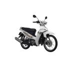 Cheap Cub bike Chinese motorcycle 50CC high quality 125cc motorbike super moto
