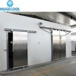 Color Steel Cold Room Sliding Door Walk In Freezer Door