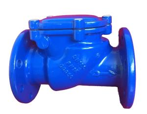 Quality DN100 PN16 GGG50 ductile iron check valve wholesale