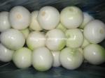 Garlic Harvester Machine