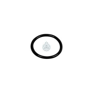 Quality O-ring 04895584,17282280 wholesale