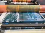 Cheese Paper Food Packaging Flexo Printing Machine Price 4 Colors
