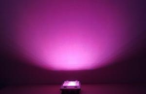 Quality Super bright DMX512 100W RGB LED flood lights outdoor for garden , Park wholesale