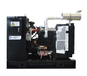 Quality 30KW Biogas Generator for Sale Small Biogas Generator wholesale