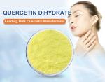 High Purity 99% Quercetin Dihydrate Powder Sophora Japonica Extract For Food