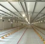 Customizable Automatic Pan Feeding System 1kg-10Kg/Min Feeding Speed