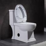 Handicap American Standard Ada Elongated Toilet 1 Piece Water Conservation