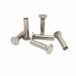 Factory Wholesale Custom Flat-Headed Semi-Hollow Rivet Non-Riveted Steel
