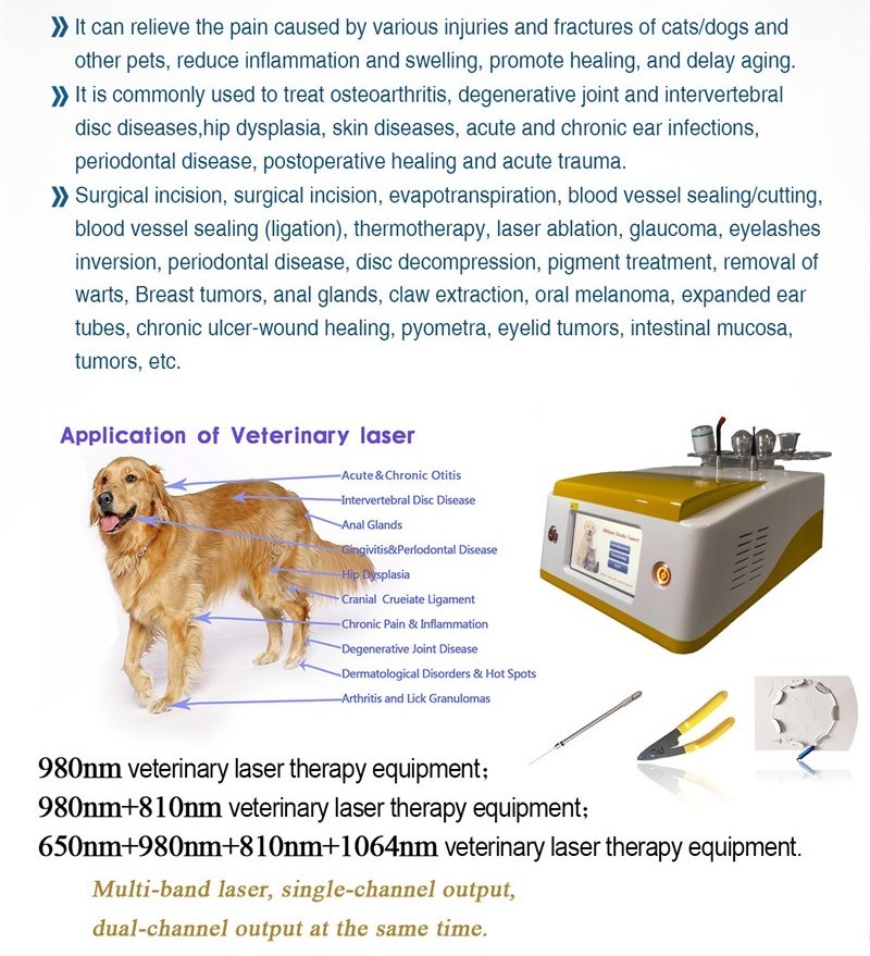 Pets Pain Recovery Surgical 980nm Diode Laser Veterinary Therapy Laser Device