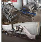 Stainless Steel Shrimp Peeling Machine Reasonable Fish Skinning Machine