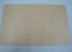Fireproof PVC Lamination Film Heat Laminating Film Acid And Alkali Resistant