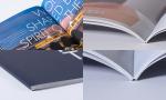 Granule EVA Based Hot Melt Adhesive EVA Hot Melt Glue For Bookbinding
