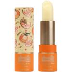 Twist Up Cardboard Lipstick Paper Tube , Cylindrical Paper Container Biodegradab