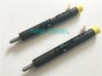Euro 3 Renault Delphi Injectors 28232242 R04101D Excellent Performance