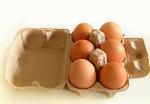 Rotary Pulp Molding Paper Egg Tray Box Making Machine