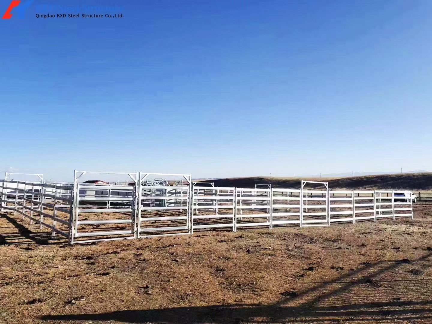 Modern Cattle Sheds Steel Structure Cow Barn And Cow Shed Customized