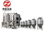 Silver Color Beer Making Machine , Craft Beer Plant Fermenting Equipment