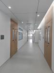 Wooden Grain Steel Double Cleanroom Swing Door Hospital Metal Doors With Glass