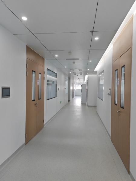 Wooden Grain Steel Double Cleanroom Swing Door Hospital Metal Doors With Glass