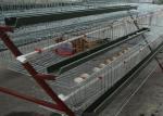 Space Saving Broiler Poultry Farming Equipment Chicken Egg Farm Equipment