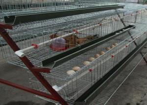 Quality Space Saving Broiler Poultry Farming Equipment Chicken Egg Farm Equipment wholesale