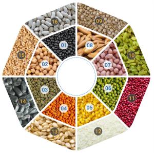 Quality Image Acquisition CCD Color Sorter For Bean 441 Ejectors 4.0KW 7 Chutes wholesale