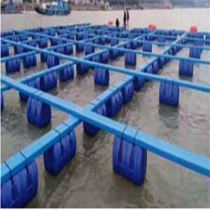 Quality Hygienic Safety Pe Pontoon , Fishing Cage Net Environmental Stress Crack Resistance wholesale