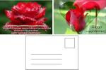 3D Changing Pictures Anniversary Birthday Wedding Card 3D Printing Images