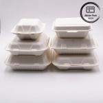 Biodegradable Sugarcane Bagasse Take Away Food Containers Recyclable 9"X6''