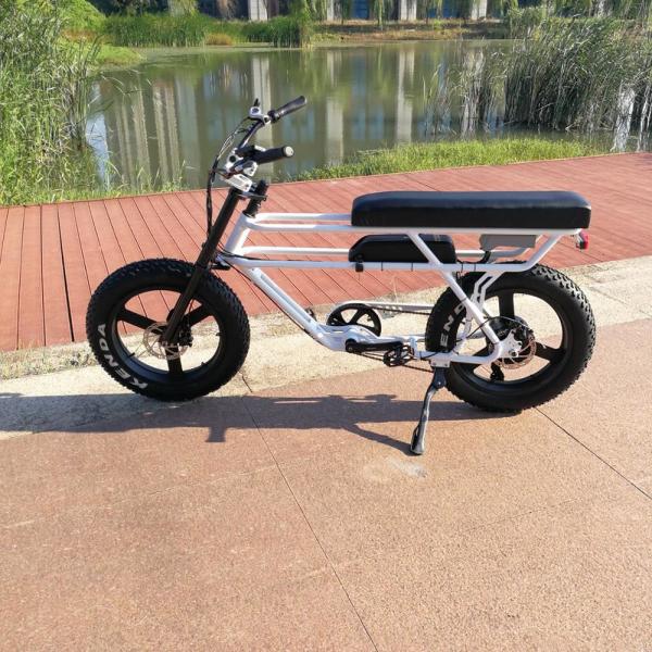 20 Inch Wheel Off Road Electric Mountain Bikes Wattage > 500w With Comfortable