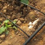 Agricultural Equipment Greenhouse Irrigation System For Vegetables Diy