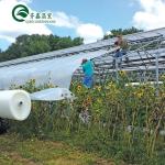 Vegetable Fruits Flowers Mushroom House for Eco-friendly Growing