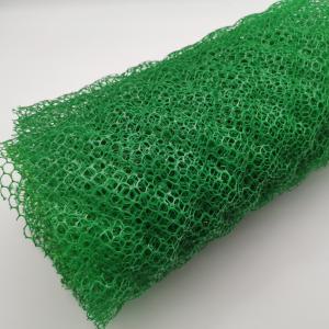 Quality Composite Protecting Layer 3D Geomat for Drainage and Plant Protection in Villa HDPE wholesale
