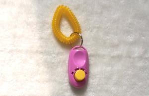 Quality I-click dog training clicker wholesale